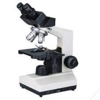 Microscope Binoculars